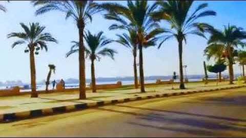 نخيل رشيد ونيلها مع صوت القارئ صفوت قلموش