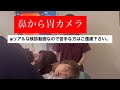 鼻から胃カメラ　検診の様子をリアルにお伝えします。