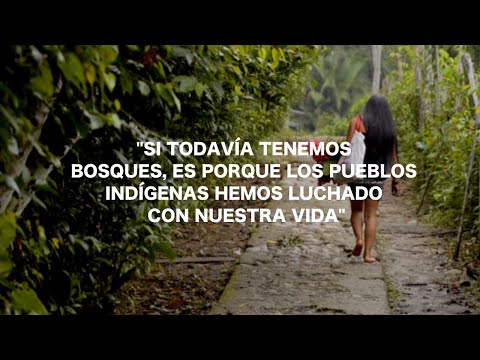 «Si todavía tenemos bosques, es porque los pueblos indígenas hemos luchado con nuestra vida»