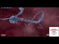 sperm and egg spertilizing شاهد رحله مسيره الحيوان المنوي وحتي تخصيب البويضه .  سبحان الله