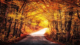 13 Minutes of Relaxing Driving Scenery w/ Electronic Music Ep. 6 #drive #relaxation #stressrelief