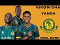 MUONEKANO WA KIKOSI CHA YANGA SC BAADA YA INGIZO LA WACHEZAJI WAPYA WALIOSAJILIWA 2025 2026