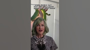 Send this to a reptile hater #gtp #aru #biak #greentreepython #python #pythons