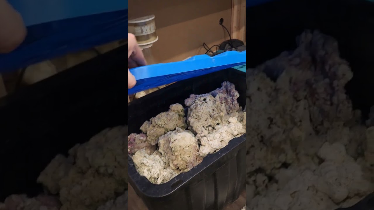 something cool is coming back to my channel 