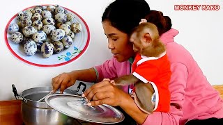 Baby Kako Like To Eat Quail Eggs | Monkey Kako Eat Quail Eggs With Adorable Mom