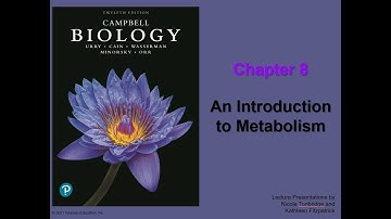 Chapter 8 An Introduction To Metabolism