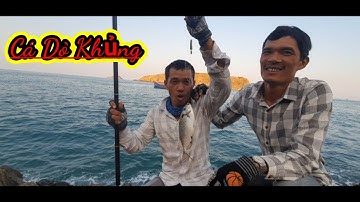 VUONG LT VLOG Câu Cá Biển | Cá Dò | Biển Nhơn Lý | Vương LT Vlog