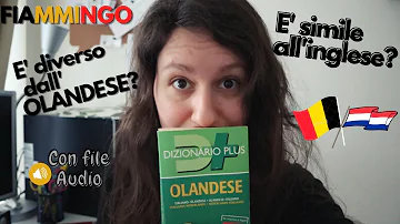 Cosa significa scuola fiamminga?