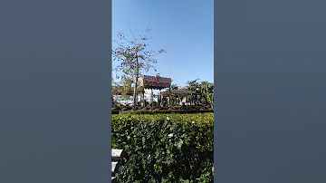 روح روح عد اوراق الشجر 