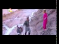 Firuza Hafizova Bachai Farhori Firuza Hafizova Bachai Farhori