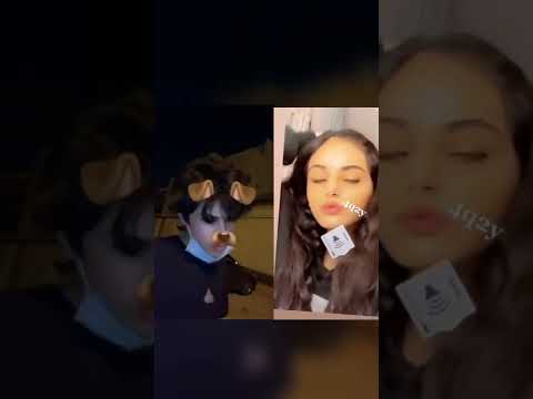 الاغنيه بذوق حمود يجننون بدون كمامه