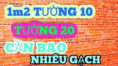 1m2 tường 20 bao nhiêu viên gạch năm 2024