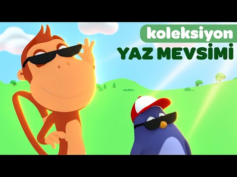 Yaz Geldi ve Diğer Bahar Şarkıları - Kukuli - Çizgi Film ve Çocuk Şarkıları - YENİ KOLEKSİYON