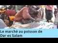 Le marché au poisson de Dar es Salam - Thalassa Documentaire