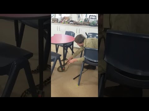 Six Foot Carpet Python In School || ViralHog