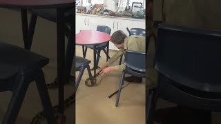Celebrity Six Foot Carpet Python In School || ViralHog Profile