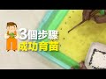 3個步驟完成育苗【CityVege城市農夫】