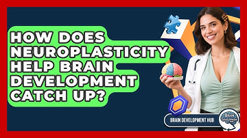 How Does Neuroplasticity Help Brain Development Catch Up? - Brain Development Hub