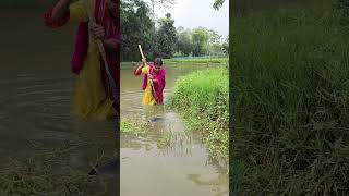 #fish #video #viralvideo