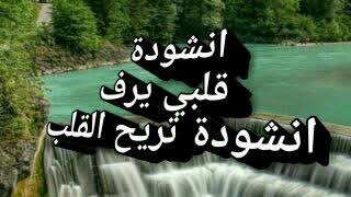 قلبي يرف | كلمات : أمل الشقير | أداء : عبدالمجيد الشلاَّحِي