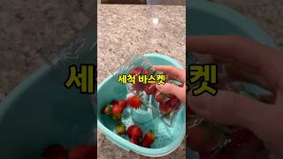 과일 세척의 혁명! 세척 바스켓