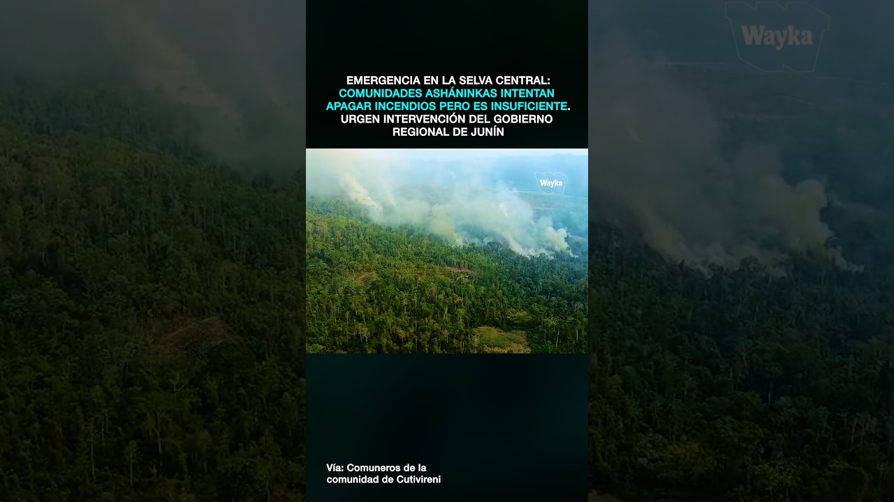Emergencia en la selva central: Comunidades asháninkas exigen atención inmediata ante incendios