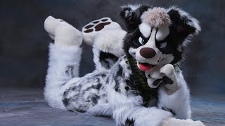 Information Mixedcandy Spotty Grumpy Mutt Update