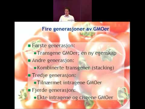 Video: Forskjellen Mellom GMO Og Transgen Organisme