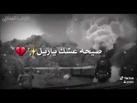 يا ريل صيح بقهر صيحه عشق ياريل حلات وتس اب