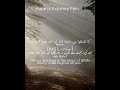 Powerful Islamic quote!short reminder