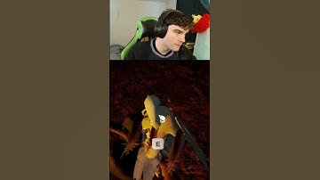 I didn’t even look back… | The Forest With Chaos Tricks Playthrough | Twitch: ChunksterChunkus