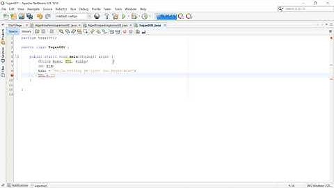 Membuat Program Biodata Sederhana dengan Netbeans IDE 12.0
