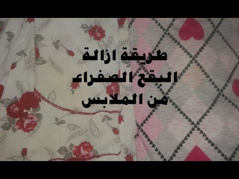 فيديو: كيفية إزالة البقعة من الفراء