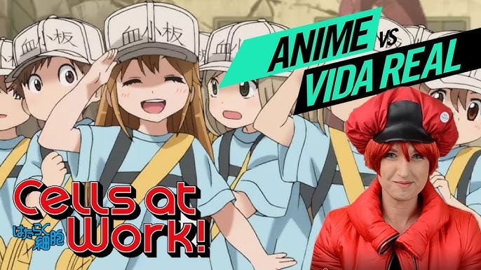 O impressionante episódio de Hataraku Saibou que até um pesquisador de  câncer elogiou - IntoxiAnime