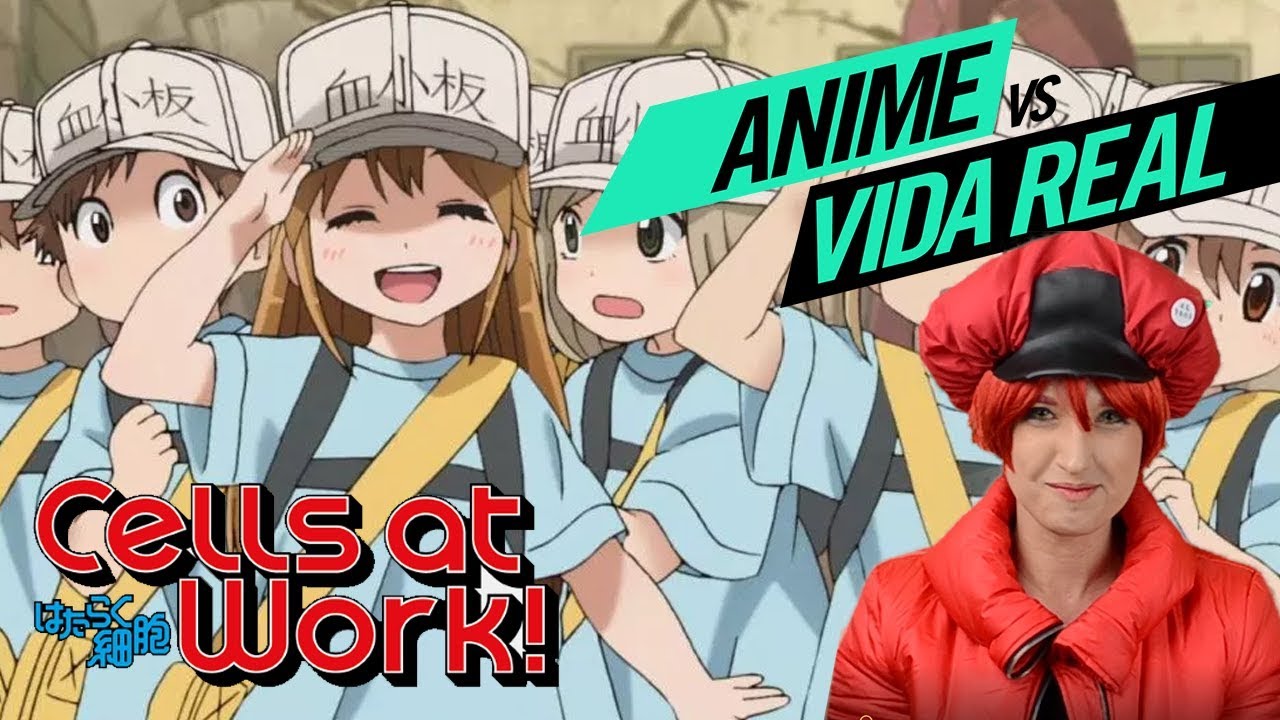 Hataraku Saibou/Cells at Work - Você conhece o seu Sangue? (Ep. 1) 