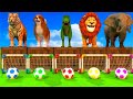 Paint Animals Game Tiger, fox, Gorilla , Elephant  Lion Fountain Crossing Animal Transformation Game