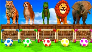 Paint Animals Game Tiger, fox, Gorilla , Elephant  Lion Fountain Crossing Animal Transformation Game