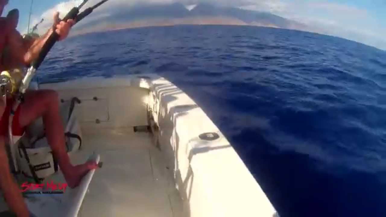 Fish Maui Shortbill Spearfish