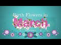 Korean birth flowers for march