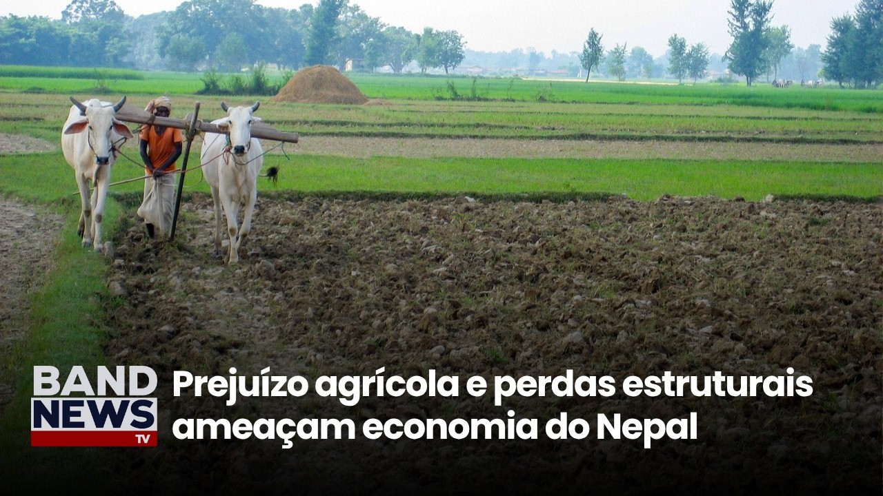 Agricultores de Nepal perdem plantações e animais nas enchentes | BandNews TV