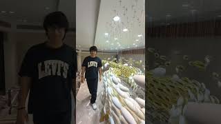 Sourav Joshi 🤑 vs Vaibhav Sooryavanshi😍car collection🏎️💸#shortsfeed #viralshort