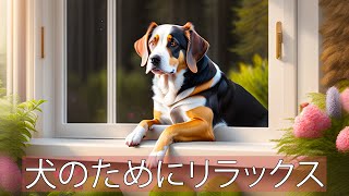 Dog TV! Videos to entertain dogs with relaxing music! by 犬のリラックスタイム 3 views 11 months ago 2 hours, 1 minute