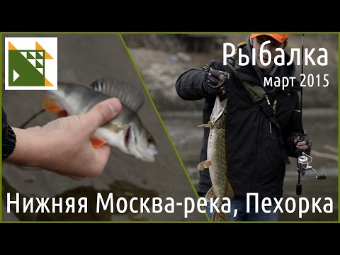 Рыбалка на нижней Москве-реке и Пехорке