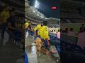 Wait… Mother Dog Brings Puppies into Stadium Crowd 🐶🏏 #shorts