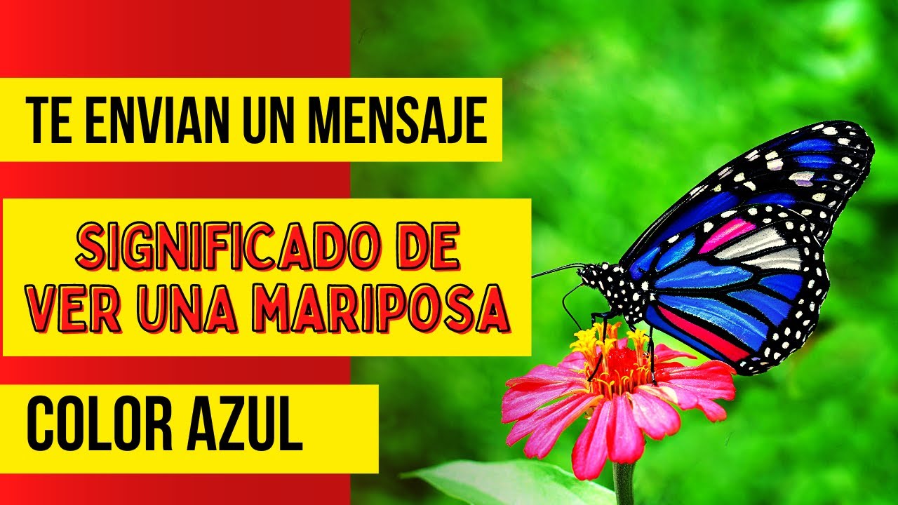 Que significa ver mariposas