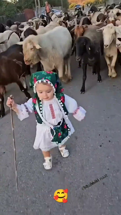 Hasbi rabbi jallallah #islamic #naat #trandingshorts