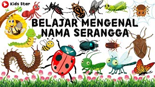 BELAJAR NAMA HEWAN SERANGGA BAHASA INDONESIA - INGGRIS | NAMES OF INSECT LEARN ANIMALS NAMA BINATANG