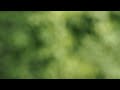 Manfrotto 468MGRC0 Hydrostatic Ballhead .avi