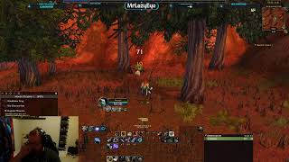 Testing Multi Stream