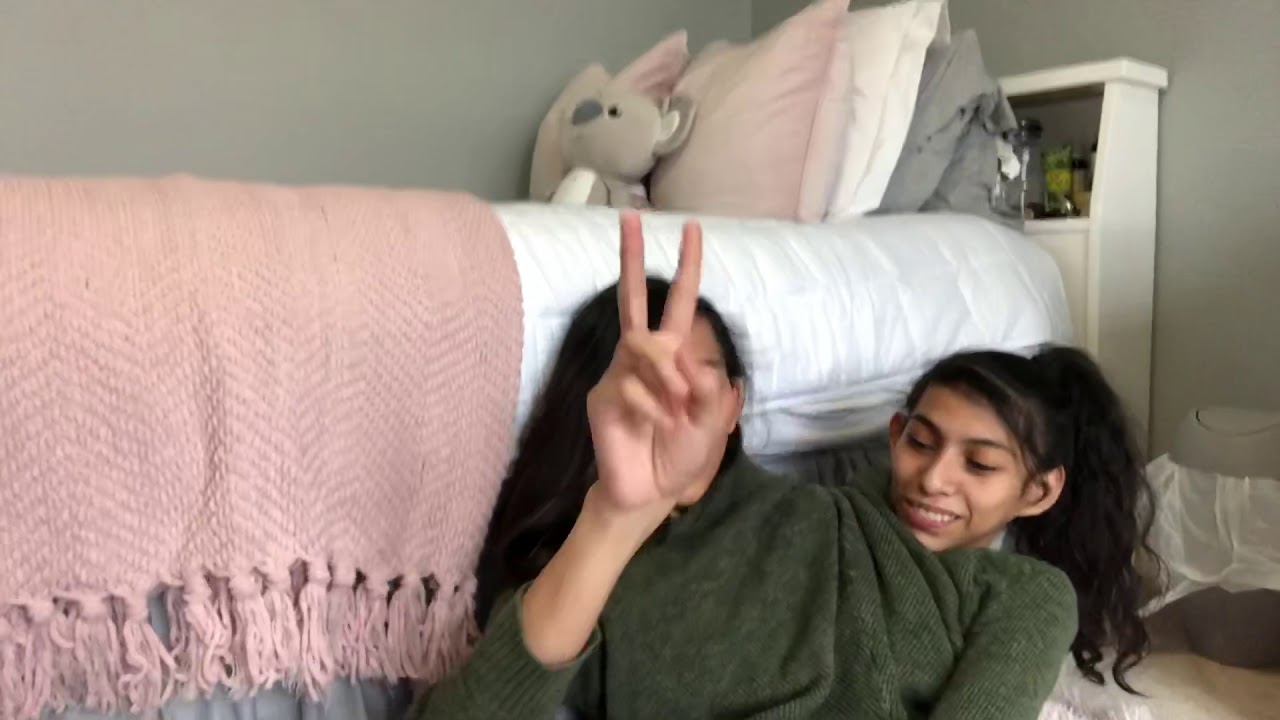 CONJOINED TWINS VLOG??? THEY HAVE A FRIEND???